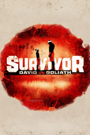 Serie streaming | voir Survivor en streaming | HD-serie