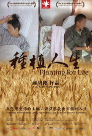 种植人生
