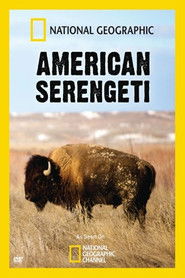 Poster of American Serengeti image size 500x750