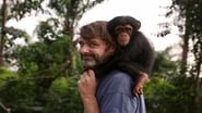 Baby Chimp Rescue  