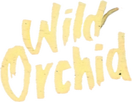 Logo of Wild Orchid image size 400x310