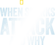 Logo of When Sharks Attack... and Why image size 2629x2160