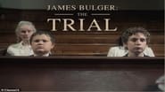 James Bulger: The Trial wallpaper 