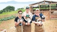 삼시세끼 어촌편  