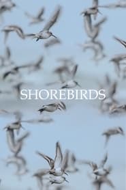 card-thumbnail