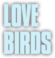 Logo of Love Birds image size 350x368