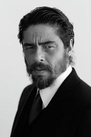 Photo of Benicio del Toro image size 736x1104