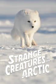 Strange Creatures of the Arctic 2022 Soap2Day