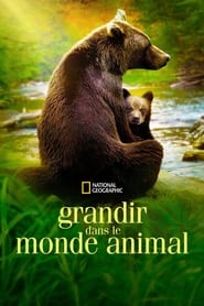 Grandir dans le monde animal streaming