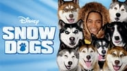 Backdrop of Snow Dogs image size 3840x2160
