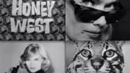 Honey West  