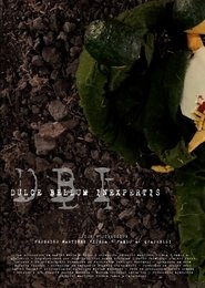 poster Dulce Bellum Inexpertis