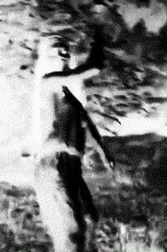 Nothing Never Ends. Poster