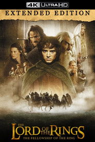 Poster of The Lord of the Rings: The Fellowship of the Ring image size 2000x3000