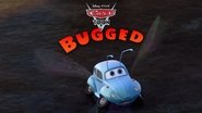 Backdrop of Bugged image size 2400x1350