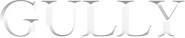 Logo of Gully image size 1363x282