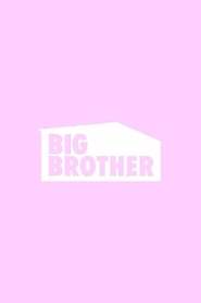 Poster of Big Brother image size 2000x3000