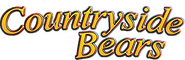 Logo of Teddy, the Little Bear image size 600x196