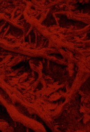poster Language of the Entrails