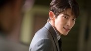 Lawless lawyer  