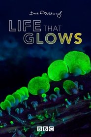 Poster of Attenborough's Life That Glows image size 1000x1500