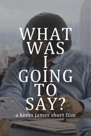 What Was I Going to Say? poster picture