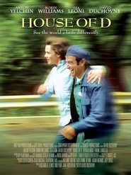 Poster of House of D image size 1080x1444
