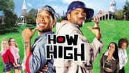 How high wallpaper 