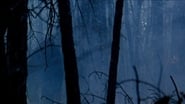 The Legend of Boggy Creek wallpaper 