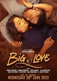Poster of Big Love image size 718x1024