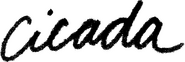 Logo of Cicada image size 3894x1295