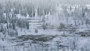Yellowstone : Nature extrême  