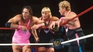 WWE Survivor Series 1993 wallpaper 