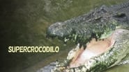Man-Eating Super Croc wallpaper 