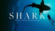 Backdrop of Shark with Steve Backshall image size 1920x1080