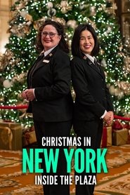 poster Christmas in New York: Inside the Plaza