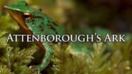 Attenborough's Ark wallpaper 