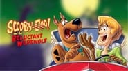 Scooby-Doo ! et le rallye des monstres wallpaper 