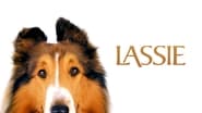 Lassie wallpaper 