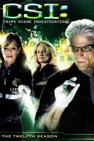 CSI: Crime Scene Investigation: Season 12