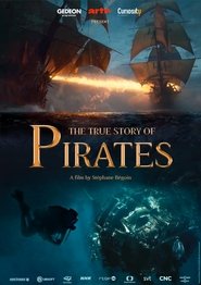 poster The True Story of Pirates