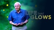 Attenborough's Life That Glows wallpaper 