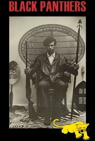 Poster of Black Panthers image size 1686x2512