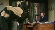 Monty Python's Flying Circus season 3 episode 4