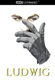 Poster of Ludwig image size 1808x2724