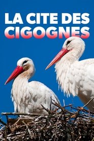 poster Klappern gehört zum Geschäft: Europas größtes Storchendorf