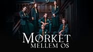 Mørket mellem os  