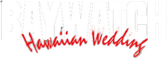 Logo of Baywatch: Hawaiian Wedding image size 453x160