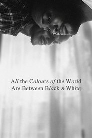 poster All the Colours of the World Are Between Black and White