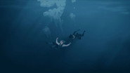 Back on Earth